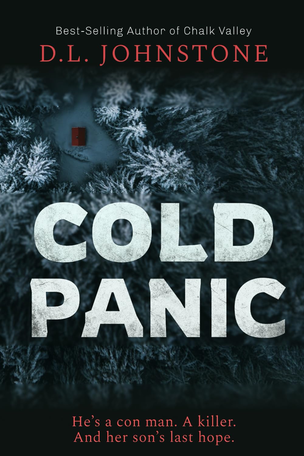 Cold Panic: A Psychological Thriller
