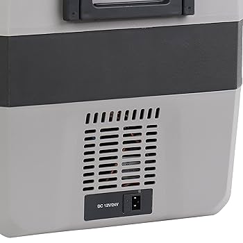 Amazon.com: Avanti PDR50L34G Cooler Portable Refrigerator