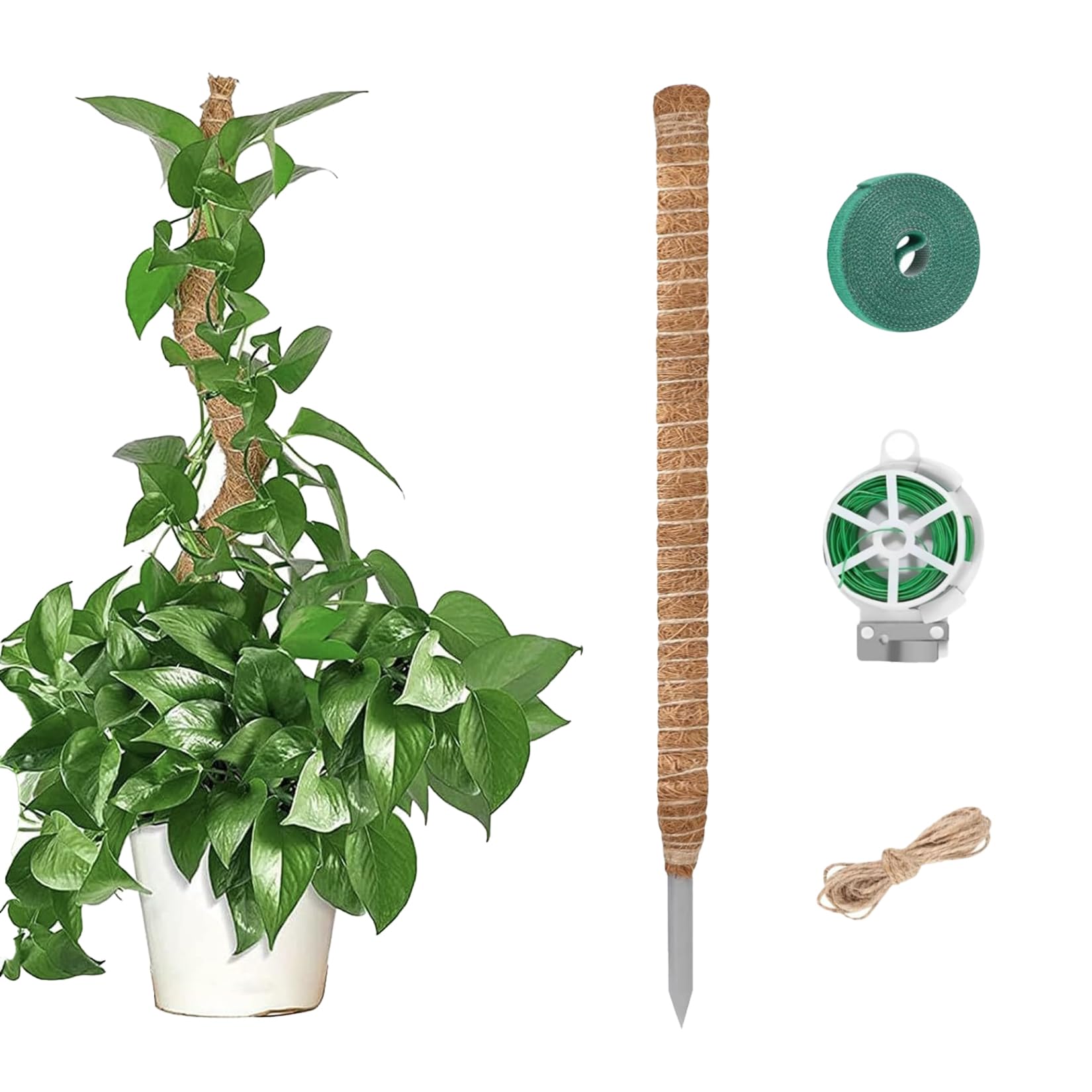 tuteur plante monstera 120cm