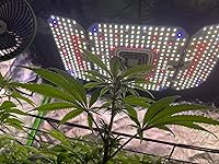 Review Image by Levi Levi