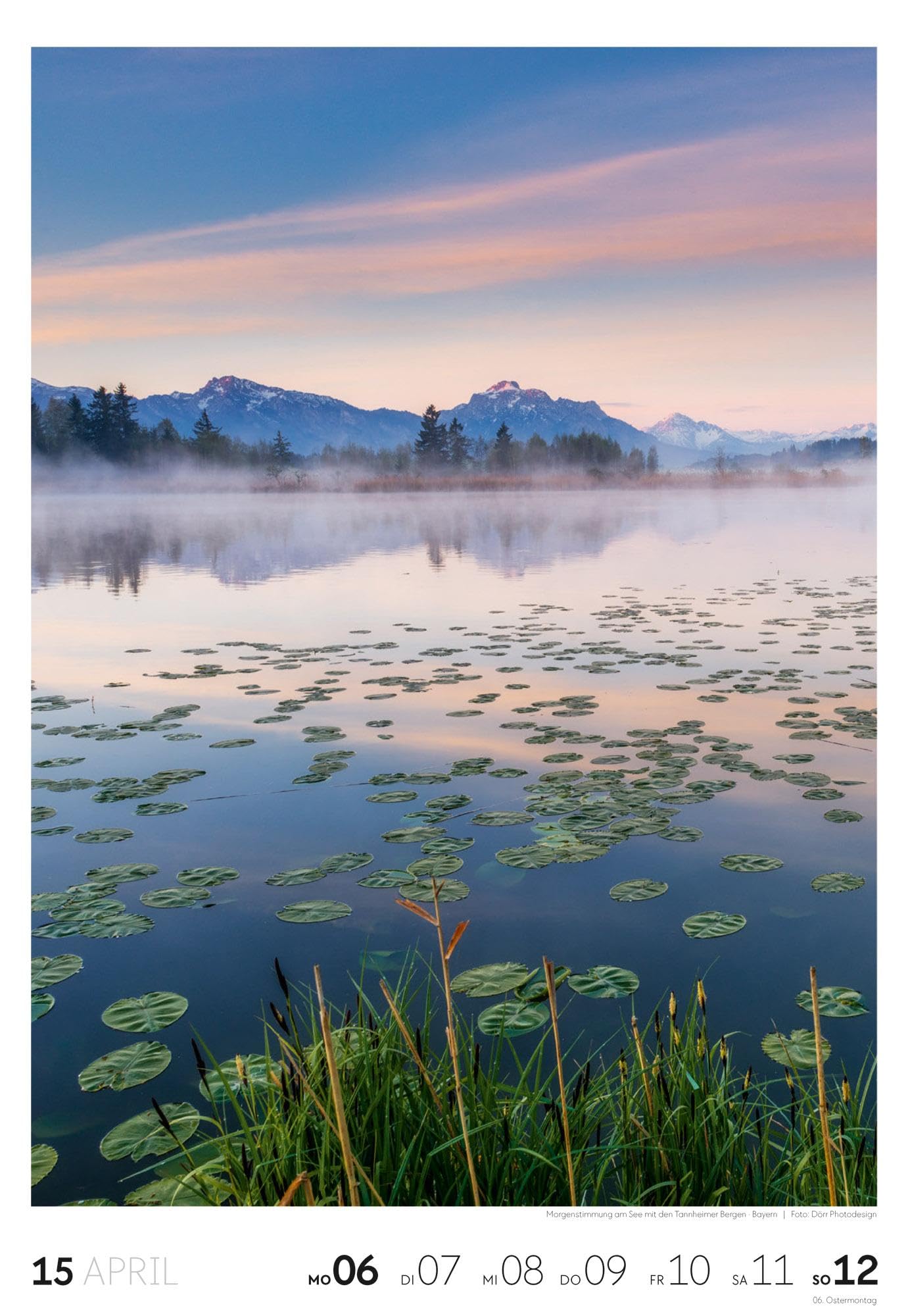 Natur Wochenkalender 2026 | Natur-Kalender mit 53 großformatigen Bildern im Hochformat (29x42 cm) | Heimische Flora und Fauna