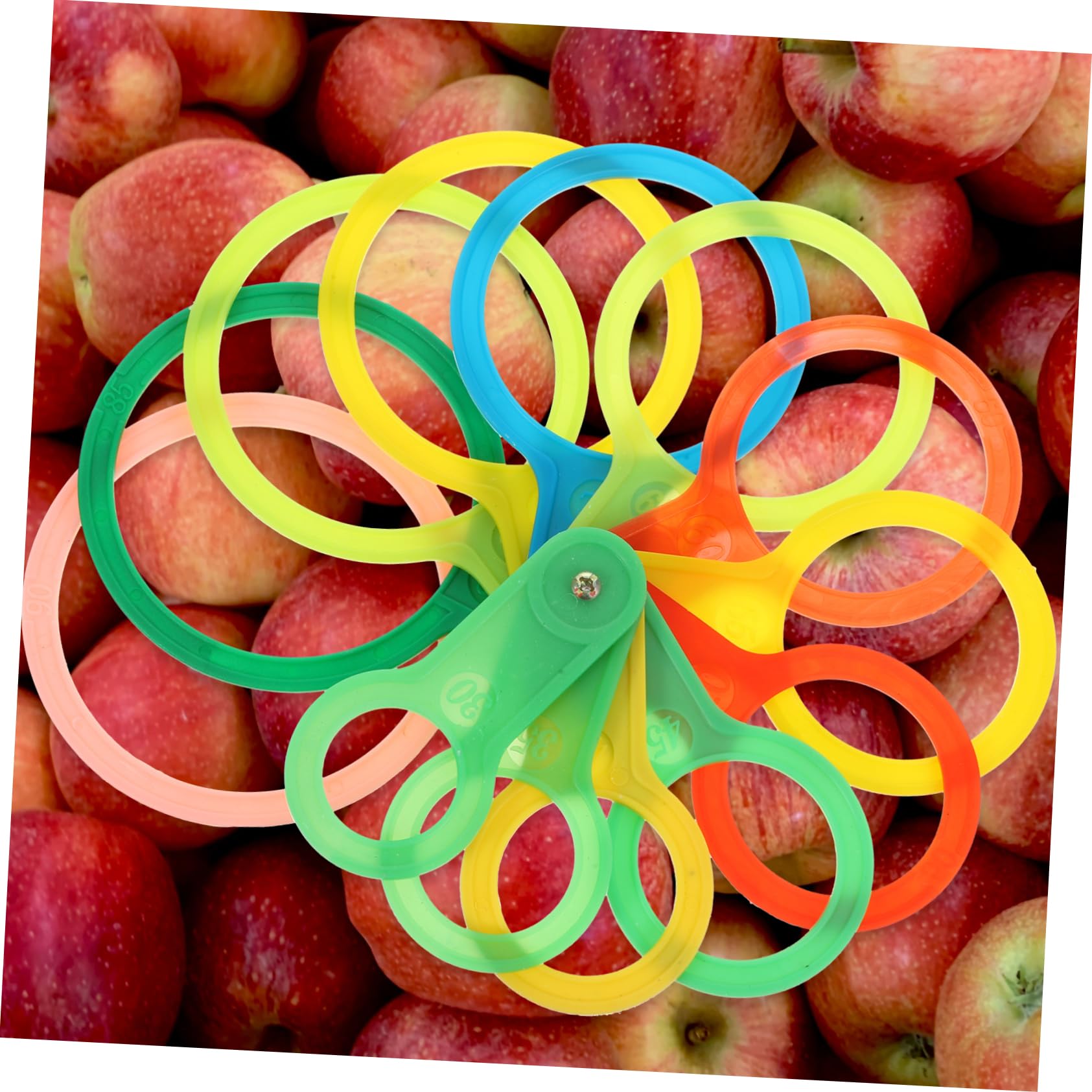 ECSiNG 4 Pezzi In Acciaio Inox 316 Girevole Doppio Grillo M6 X 67 Mm