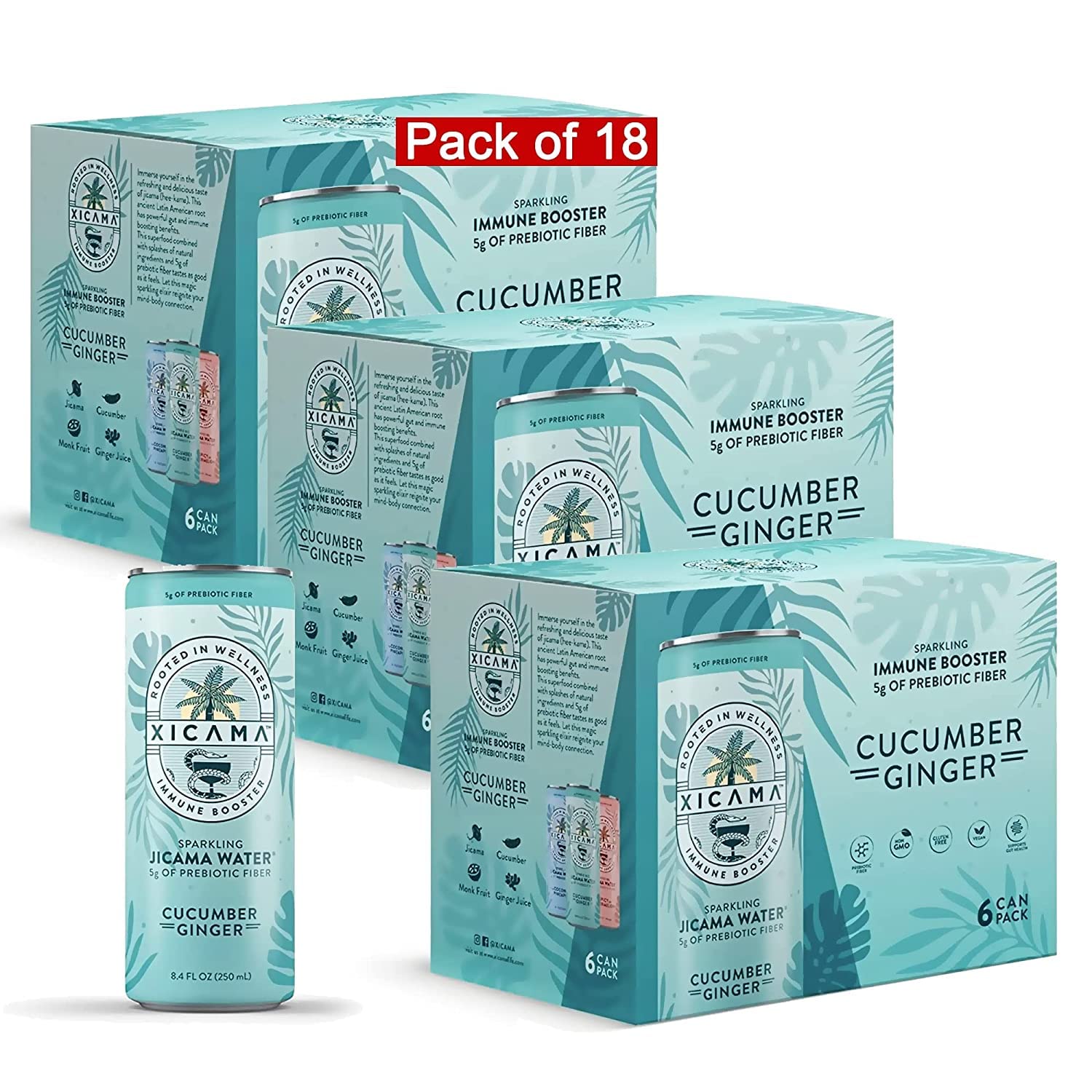 Xicama Sparkling Jicama Water - 18 Pack - Cucumber Ginger - R2D