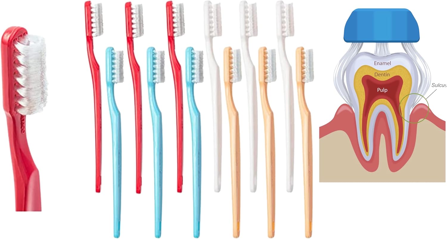 Collis Curve Soft 3 Sided Toothbrush Orthodontic