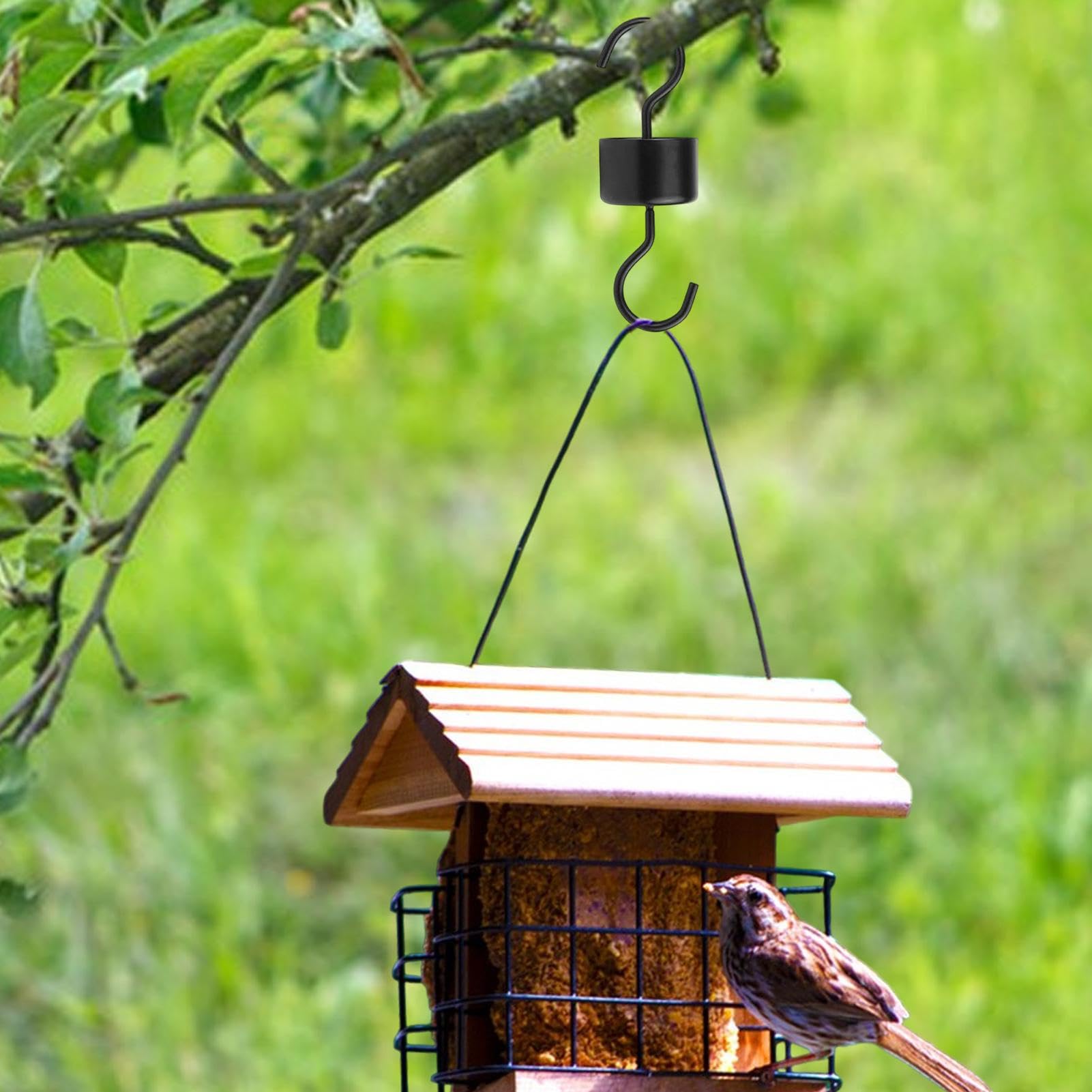 Tebinzi Mangiatoia per Colibrì Ant Guard - Ganci per fossati Forma di Protezione per formiche | Robusti Ganci per fossato per Esterni, Patio, Giardino, Fauna Selvatica