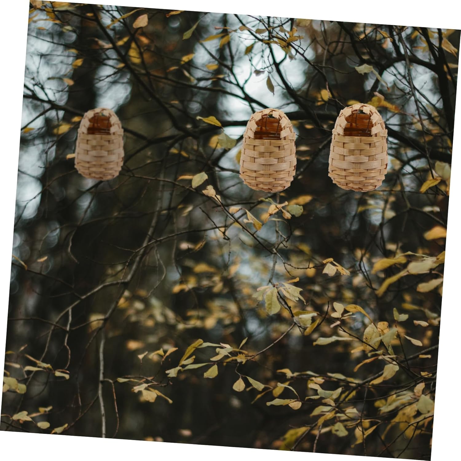 BESPORTBLE 18pcs Handwoven Bird Nest Hooks Creative Winter Bird House for Garden Decoration and Natural Nesting Option