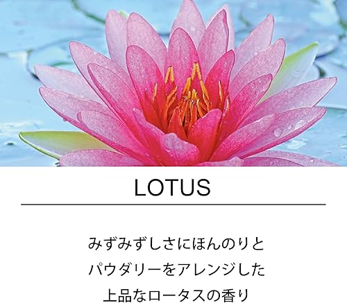 Miniatura 2 de Incienso japonés - Esteban Esprit de Natur Lotus 40 piecesAF27