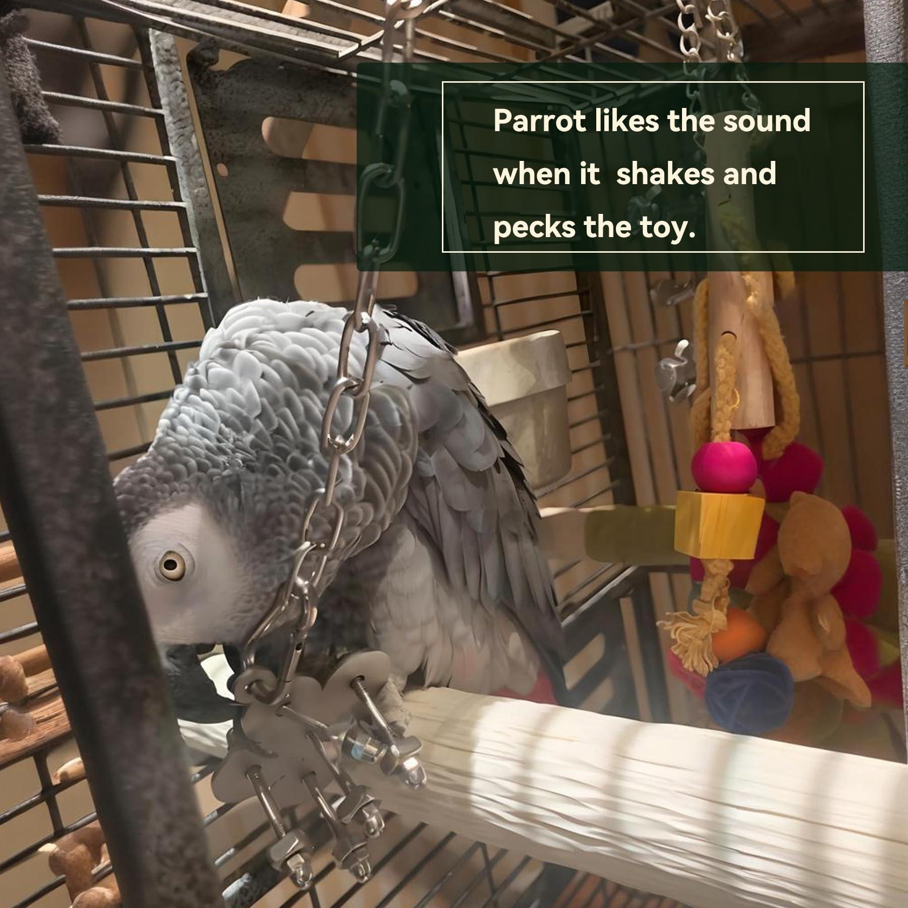 JSLZF Stainless Steel Parrot Toy, Hanging African Grey Chew Toy for Bird, Non-Removable Cap Nuts Foraging Bird Toy for Conure, Cockatiel, Parakeet, Cockatoo, African Grey