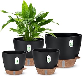 Self Watering Planters with Indicator