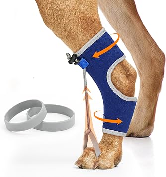 Supet Knuckling Brace for Dogs, Comfortable Foot Splint, Ankle Brace Back Leg for Toe Dragging Cause by Myelopathy, Sciatic Nerve Insufficiency & Herniated Disc Blue, XL