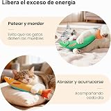 Ver la foto 2
