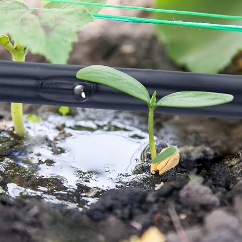 Miniatura 6 de Treela Cinta de goteo de 1000 pies, 58 pulgadas, rollo espaciador de 6 pulgadas, manguera de riego de 16 mil, línea de tubo de riego de jardín,