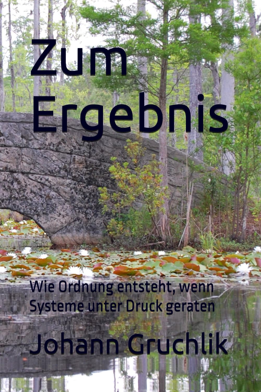Zum Ergebnis: Wie Ordnung entsteht, wenn Systeme unter Druck geraten (Ordnung unter Druck – Ein modularer Denkrahmen)