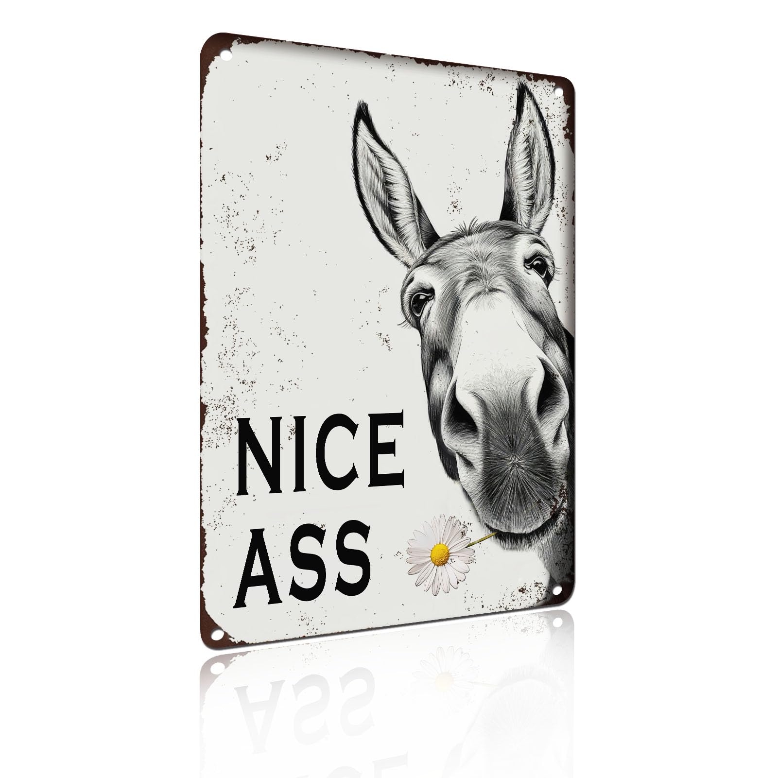 Funny Donkey Bathroom Wall Art Decor Nice Ass Metal Vintage Tin Sign for Bar Home Toilet Restroom Gifts 8x12 Inch (2545)