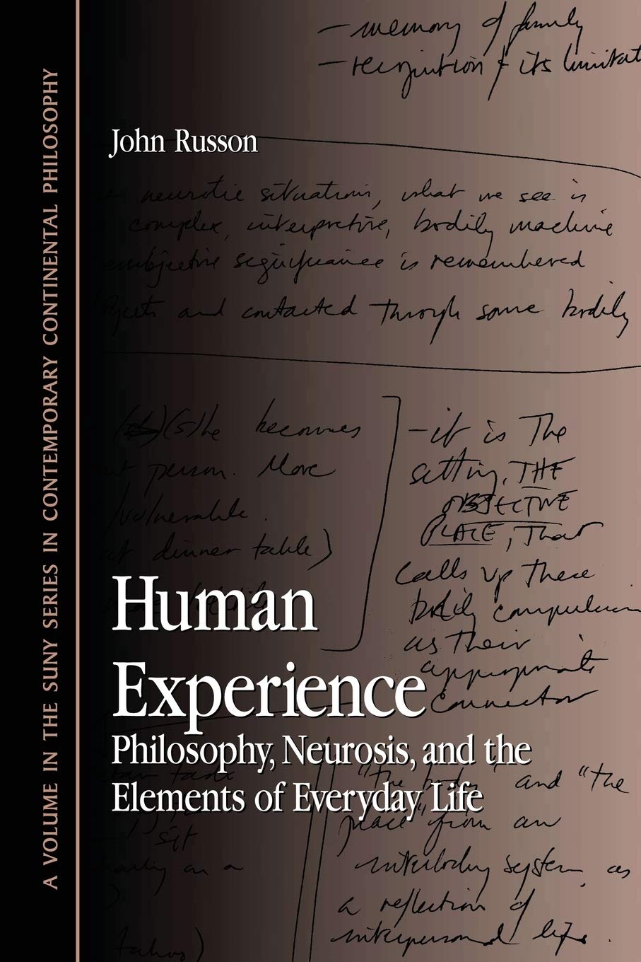 Human Experience: Philosophy, Neurosis, and the Elements of Everyday Life (Suny Series in Contemporary Continental Philosophy)