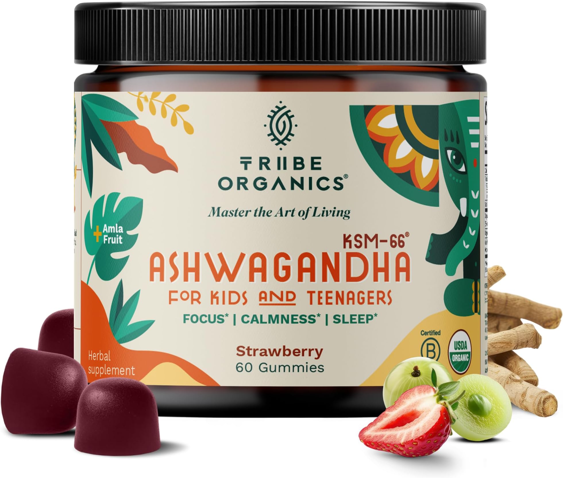 Ashwagandha KSM-66 Gummies for Kids & Teens - Pure Organic Root Extract Ayurvedic Supplement Gummy - Focus Mood Support Increase Energy Strength 600mg of Natural KSM66 for Superior Absorption