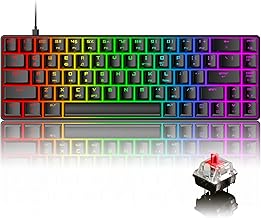 Mechanical Gaming Keyboard 18 Chroma RGB Backlit 60% Percent Keyboard with Type C Red Switches 68 Keys Anti-ghosting Wired Gaming Keyboard for PC/Mac Gamer,Typist,Tactile-Black