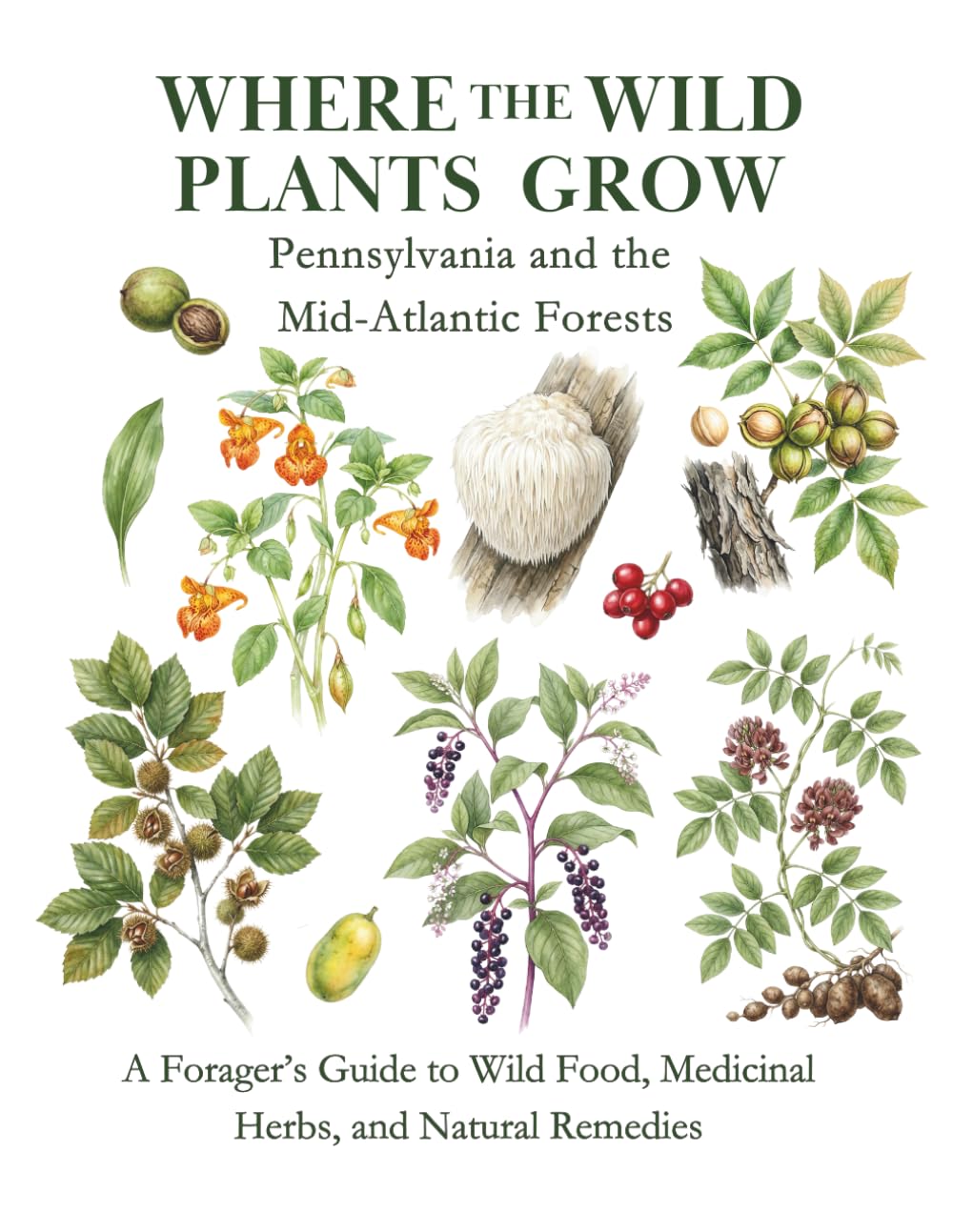 Pennsylvania and the Mid-Atlantic Forests: A Forager’s Guide to Wild Food, Medicinal Herbs, and Natural Remedies (Where the Wild Plants Grow: Illustrated Foraging Guides)