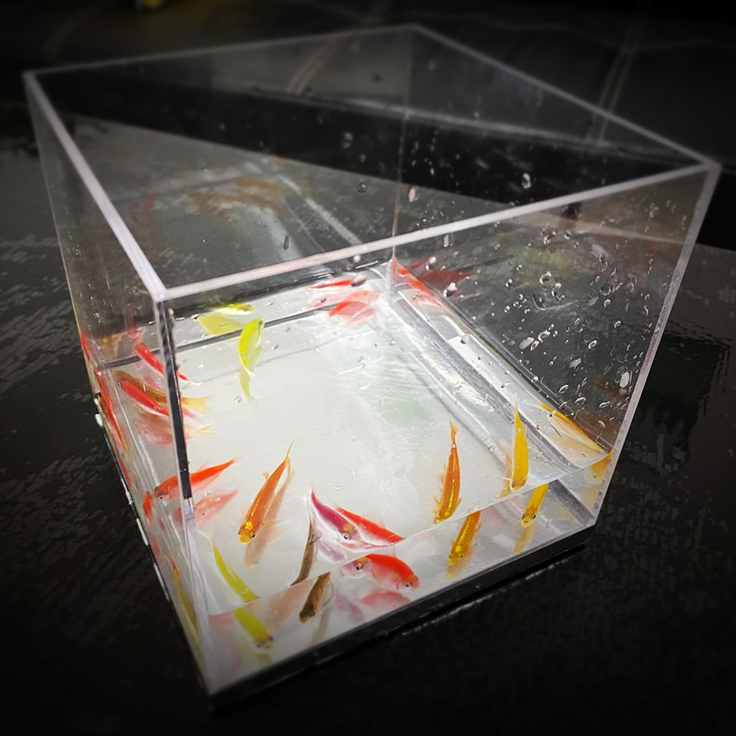 Mystic Aquarium Magic Tricks Fisch erscheint im leeren Tank Produktion Magische Bühne Street Illusions Gimmicks Mentalismus Requisiten (groß)