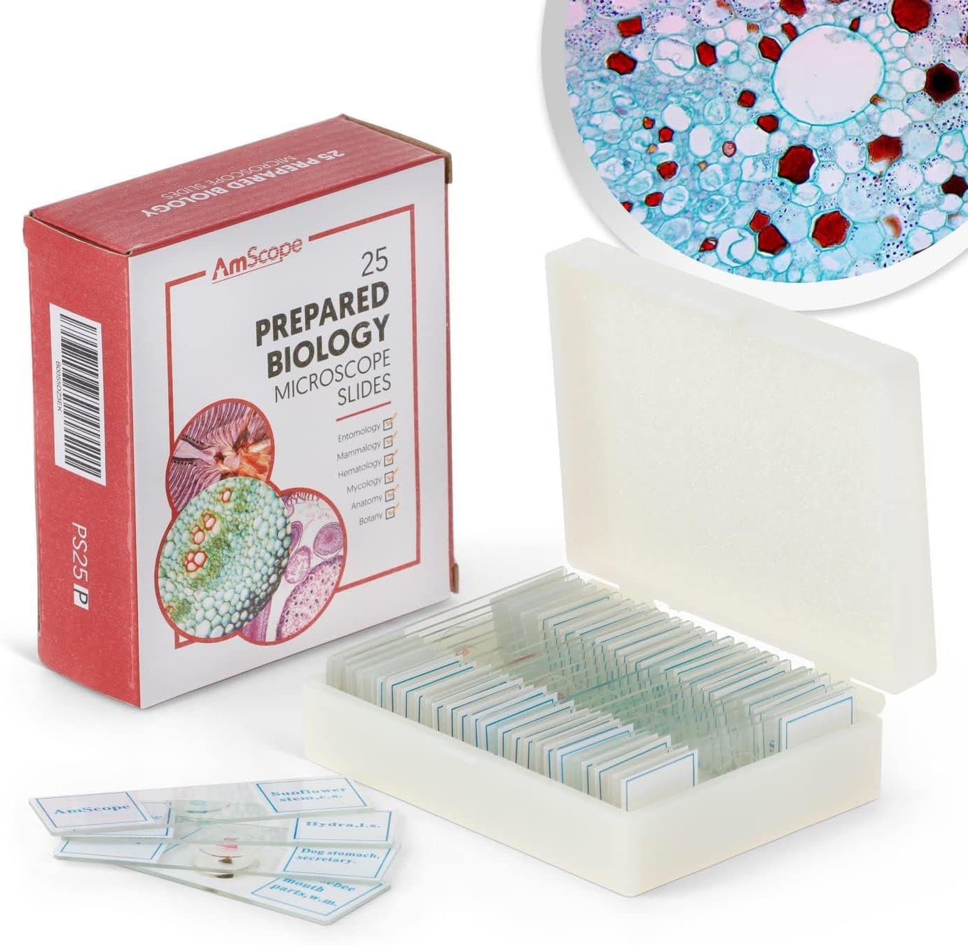 AmScope Plastic Box 25PC Glass Slide Prep Microscope Slide