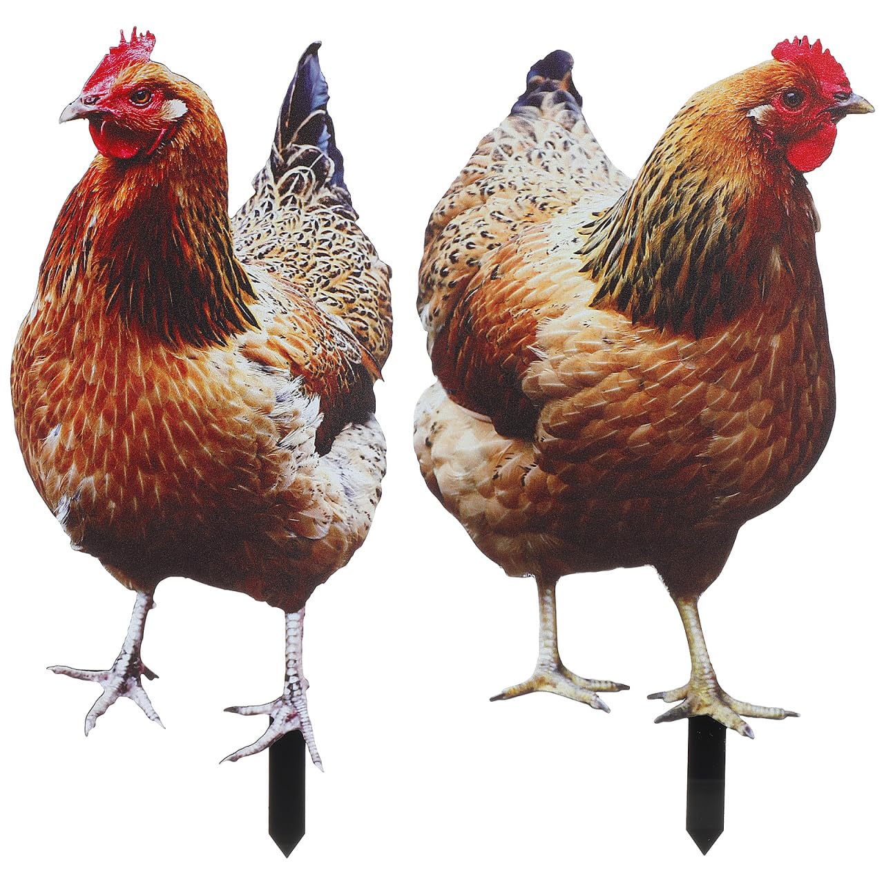 Sculpture d'animaux de ferme Yardwe : piquets décoratifs de poules pour extérieur