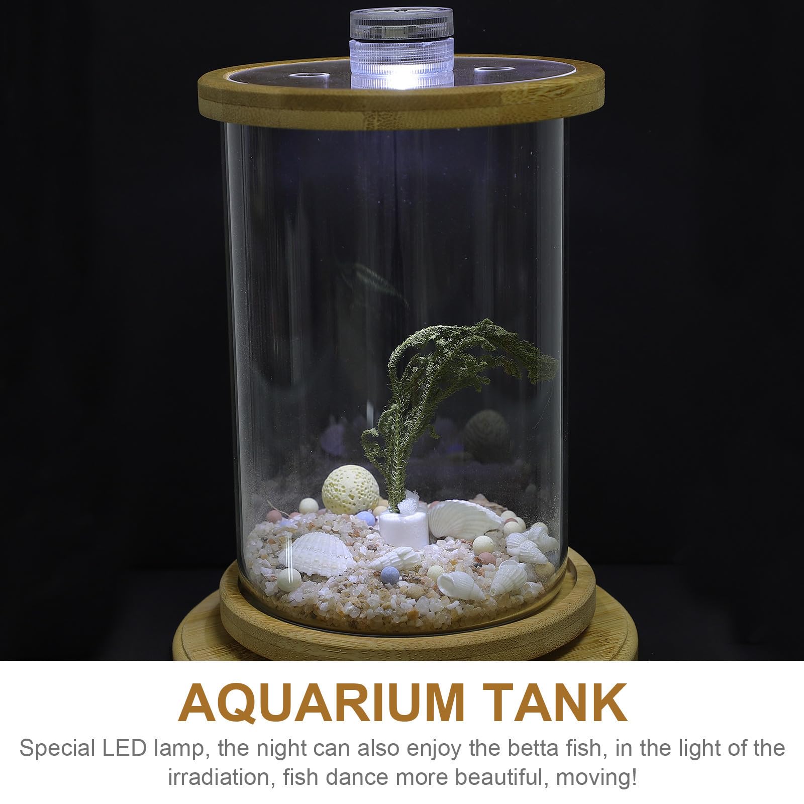 Dekoratives Aquarium für Schreibtisch als Büroaccessoire, Grün