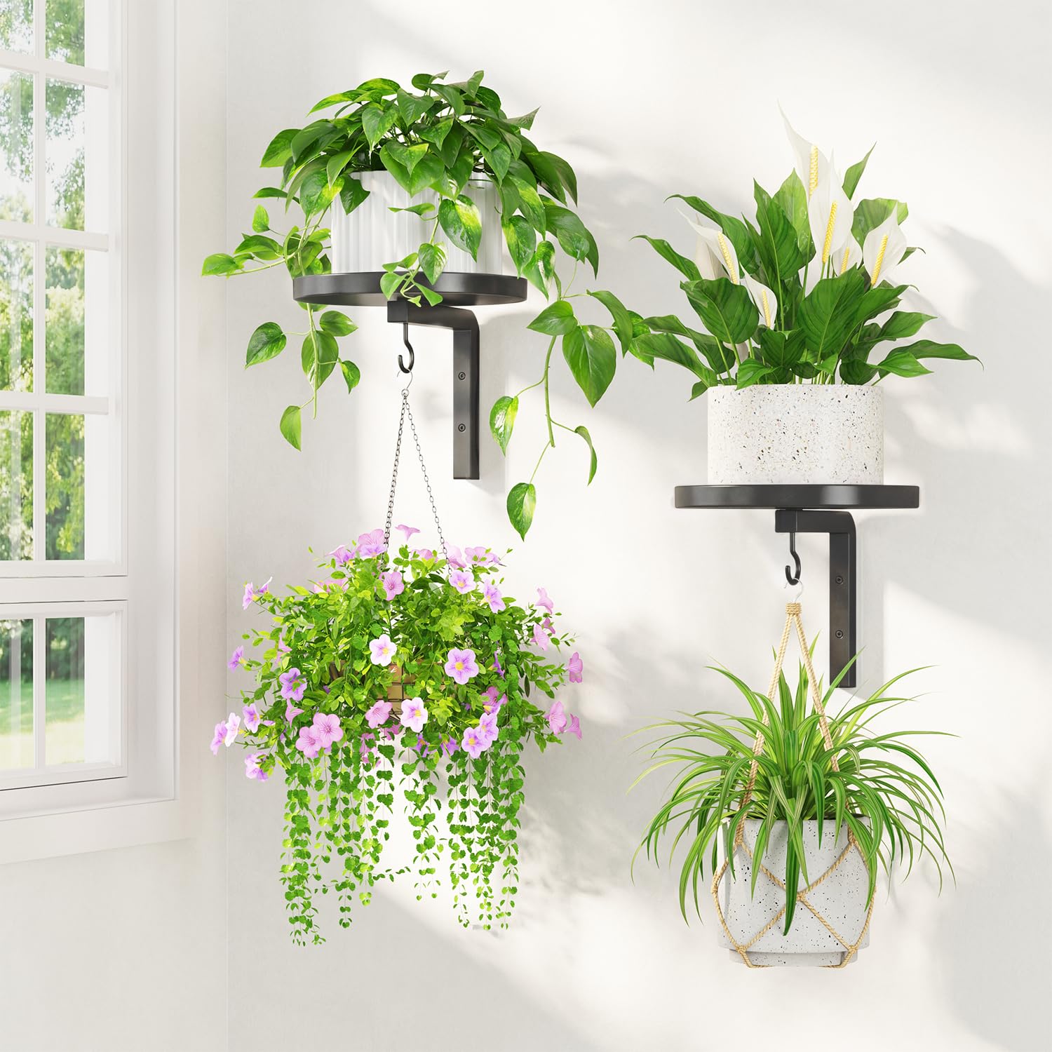 LASZOLA Plant Hanger Holder Window Shelf Wall Mounted Indoor, 2 Pcs Black