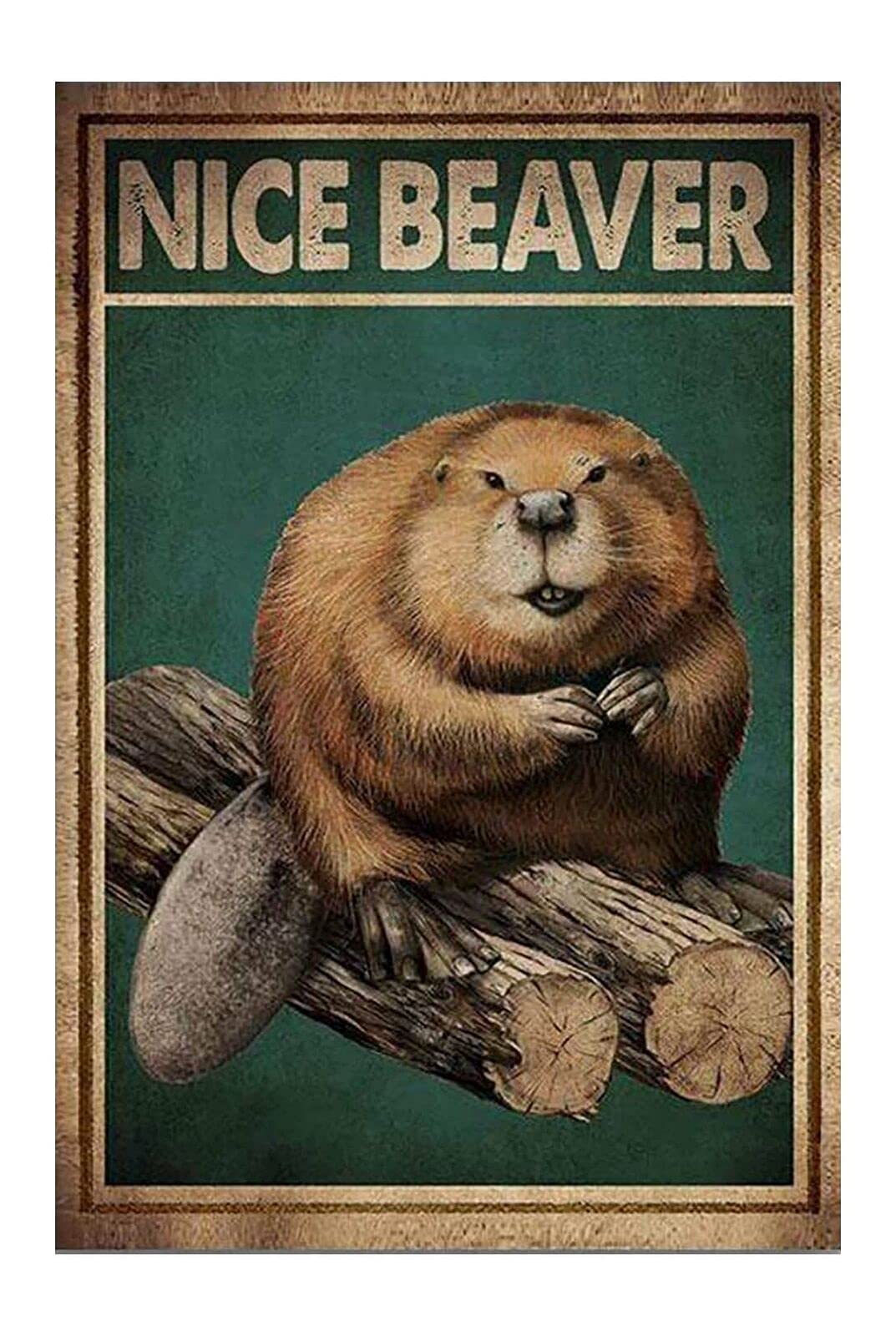 Tnnd Brown Beaver And Nice Beaver Home Metal Sign Bathroom Decor Vintage Mural 8X12 Inches