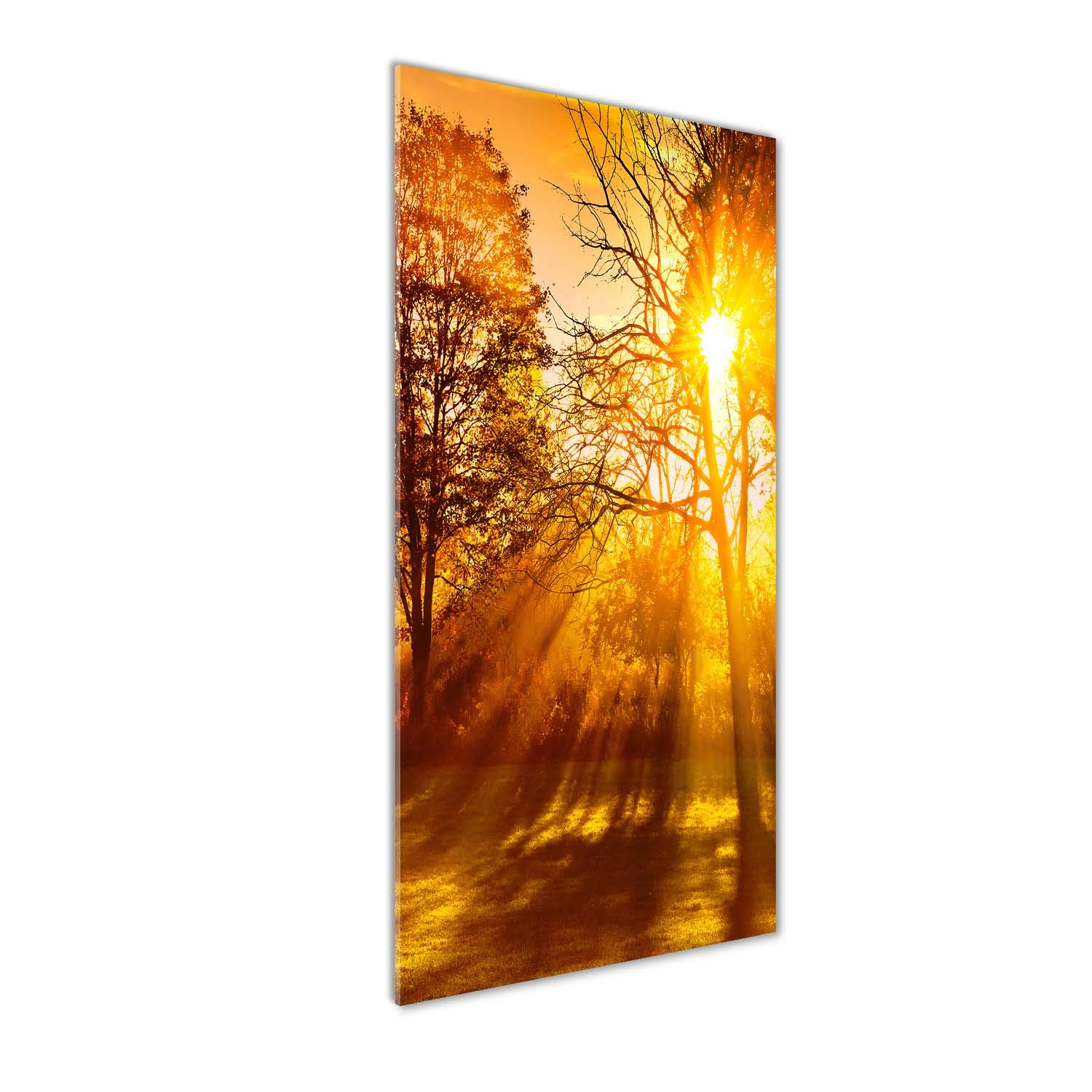 Image sur verre acrylique Tulup 50x125 pour sublimer votre salon avec un paysage d'automne