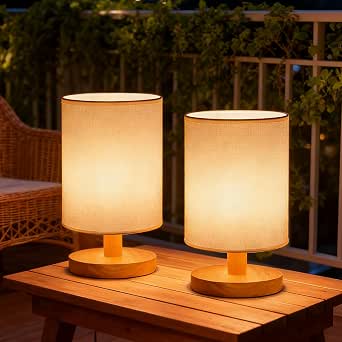 Small Table Lamp Set of 2, Bedside Nightstand Lamps, 3000K Warm Light, USB Powered LED Reading Lamps, Boho Vintage Style for Bedroom, Living Room, Office, Dorm, Dresser