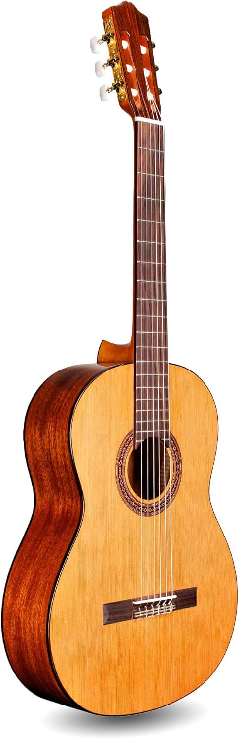 Cordoba C5 Lefty Nylon String Acoustic Guitar