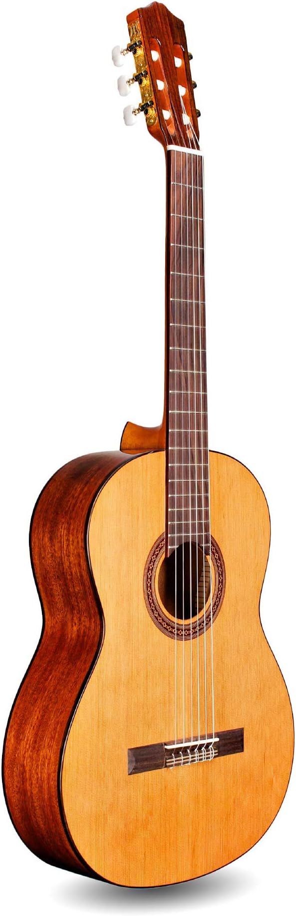 Cordoba C5 Lefty Nylon String Acoustic Guitar
