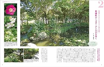 浜名湖花博 セット 3枚 79445-355-