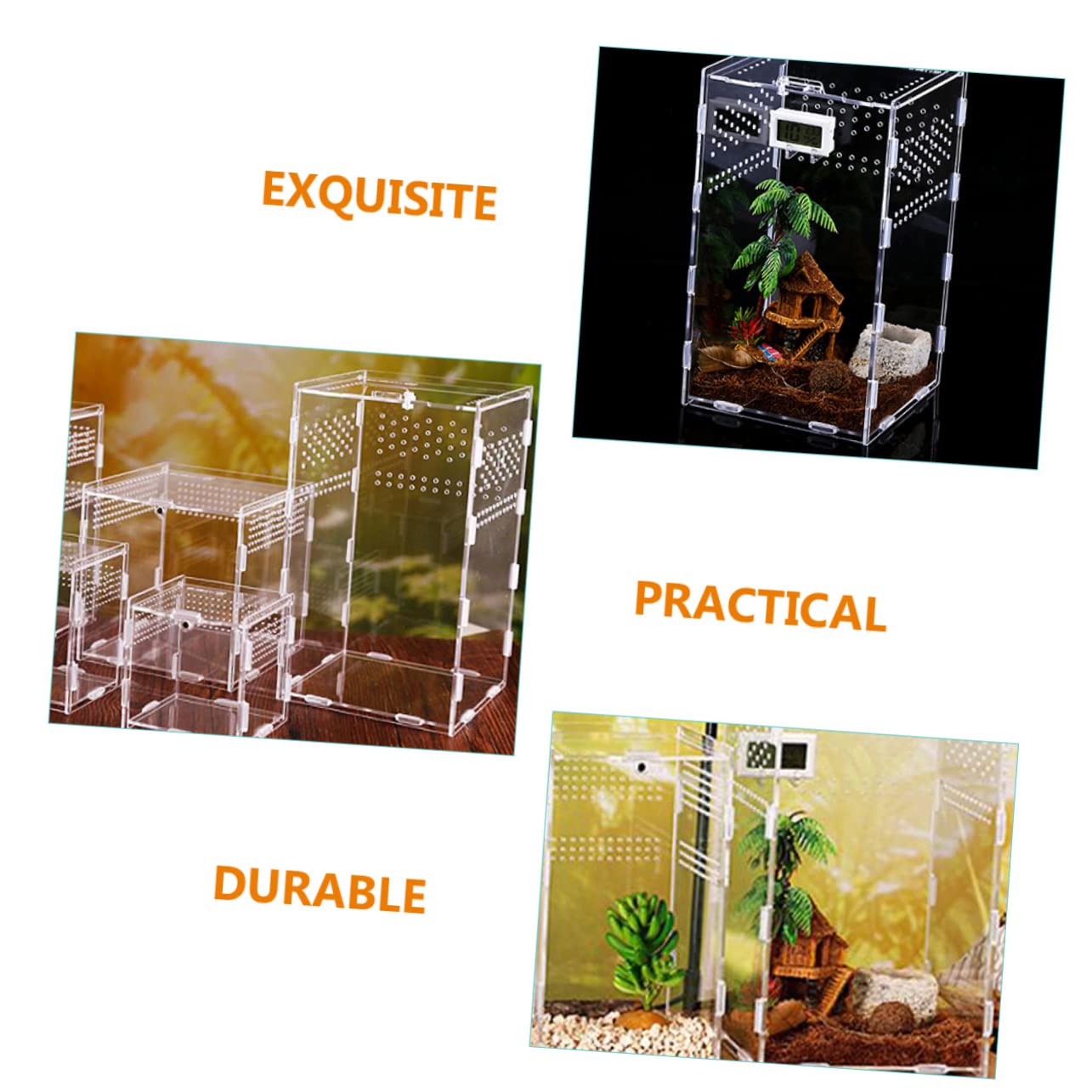 DOITOOL Kit Terrario per Rettili Nido per Rettili Contenitori Creativi Accessori per Terrari Trasportino per