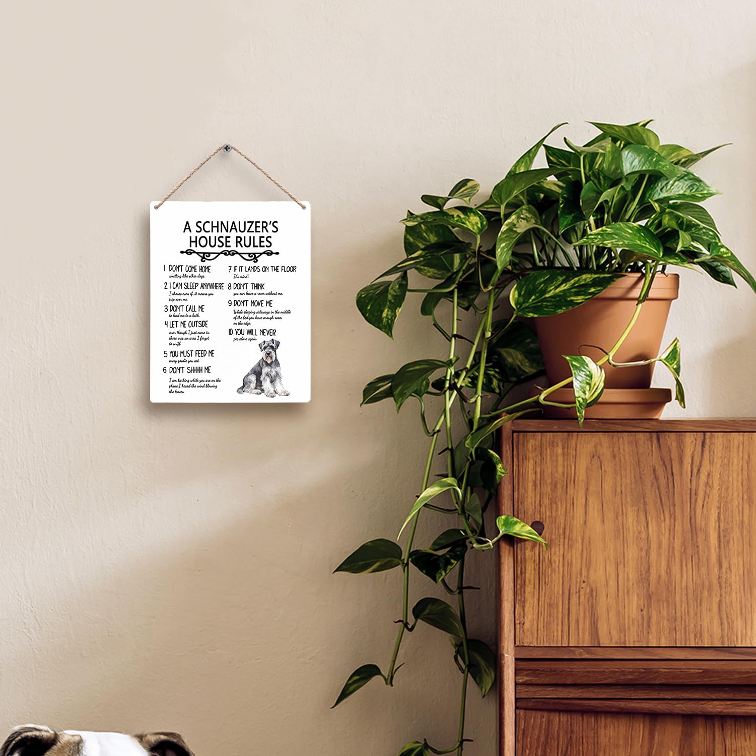 FUGWN A Schnauzer’s House Rules Dog Wooden Signs 8x10, Miniature Schnauzer Gifts Dog Wall Decor, Dog Signs for Home Decor, Dog House Rules Sign Decor Gifts for Miniature Schnauzer Dog Lovers