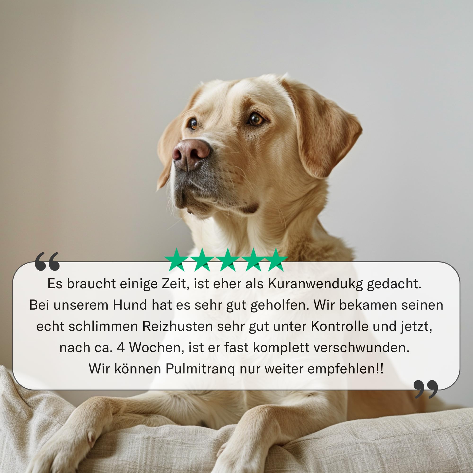 Pulmitranq Hund - Kräuter für Atemwege & Lunge - 90 Tabl.