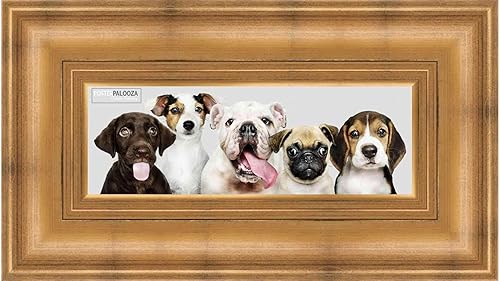 Poster Palooza Marco panorámico completo de madera dorada tradicional de 14 x 40 pulgadas con acrílico UV, respaldo de tablero de espuma y herraje