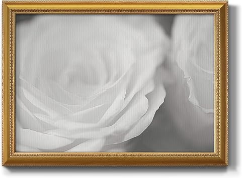 Renditions Gallery Flowers Wall Art Blooming White Roses Photo Picture Modern Home Wall Decorations Gold Framed Canvas Prints for Living Room and Bedroom 20x28 Inch LS002
