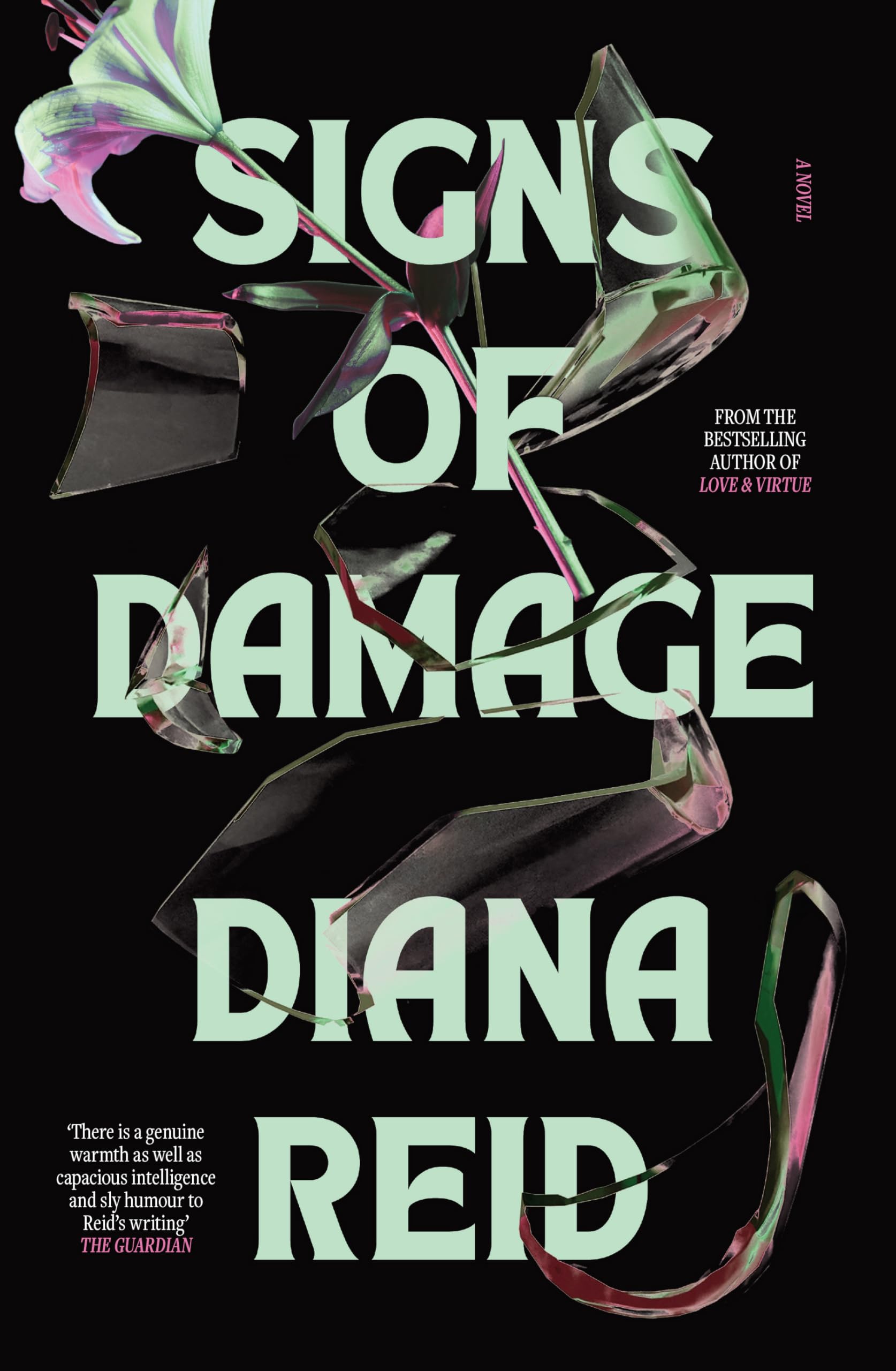 Signs of Damage : Reid, Diana: Amazon.com.au: Books