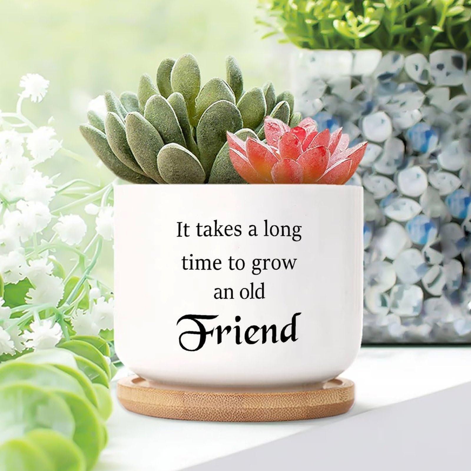 Yelolyio It Takes A Long Time to Grow An Old Friends Ceramic Planters Positive Quotes Pots for Plants With Drainage Holes And Saucers Pot For Home Office Desk Garden