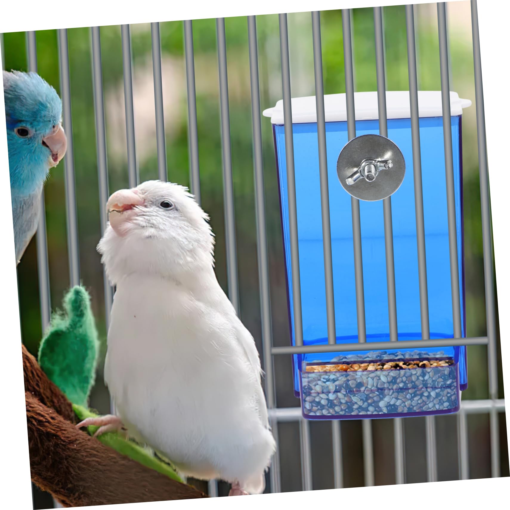 Yardwe 5stücke Automatischer Vogelfutterspender Für Käfige Transparente Futterstation Für Wellensittiche Und Kanarienvögel Praktische Und Einfach Zu Reinigende Futterbox Mit