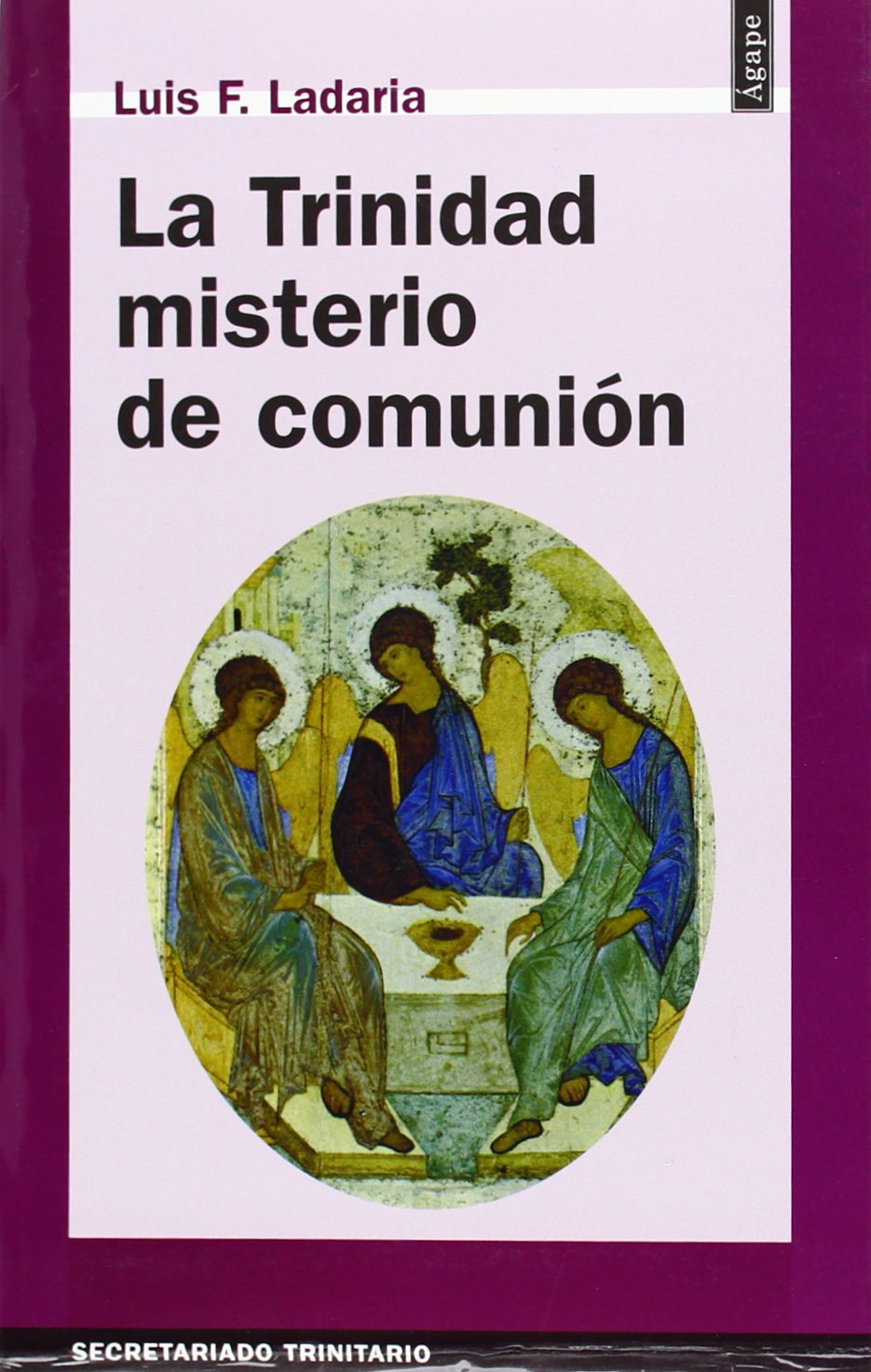 La Trinidad, misterio de comunión: 30 (Ágape)