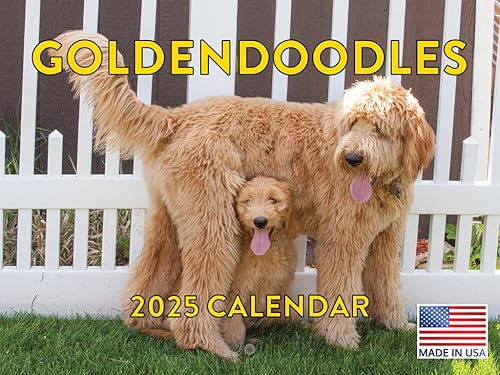 Vista 265 de Calendario Goldendoodle 2026 Golden Doodle mensual de pared calendario de 12 meses Fabricado en Estados Unidos
