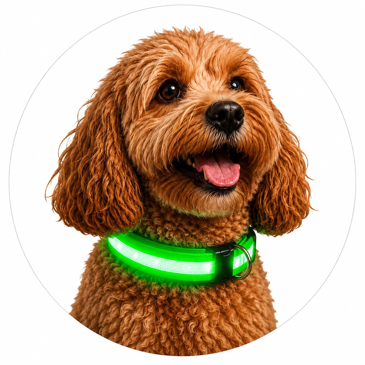 ONYXX Electronics LED Dog Collar, Light Up Reflective Dog Collar for Night Walking, Adjustable Safety Collar for Dogs, High Visibility LED Pet Collar, Battery Powered - Green - Large