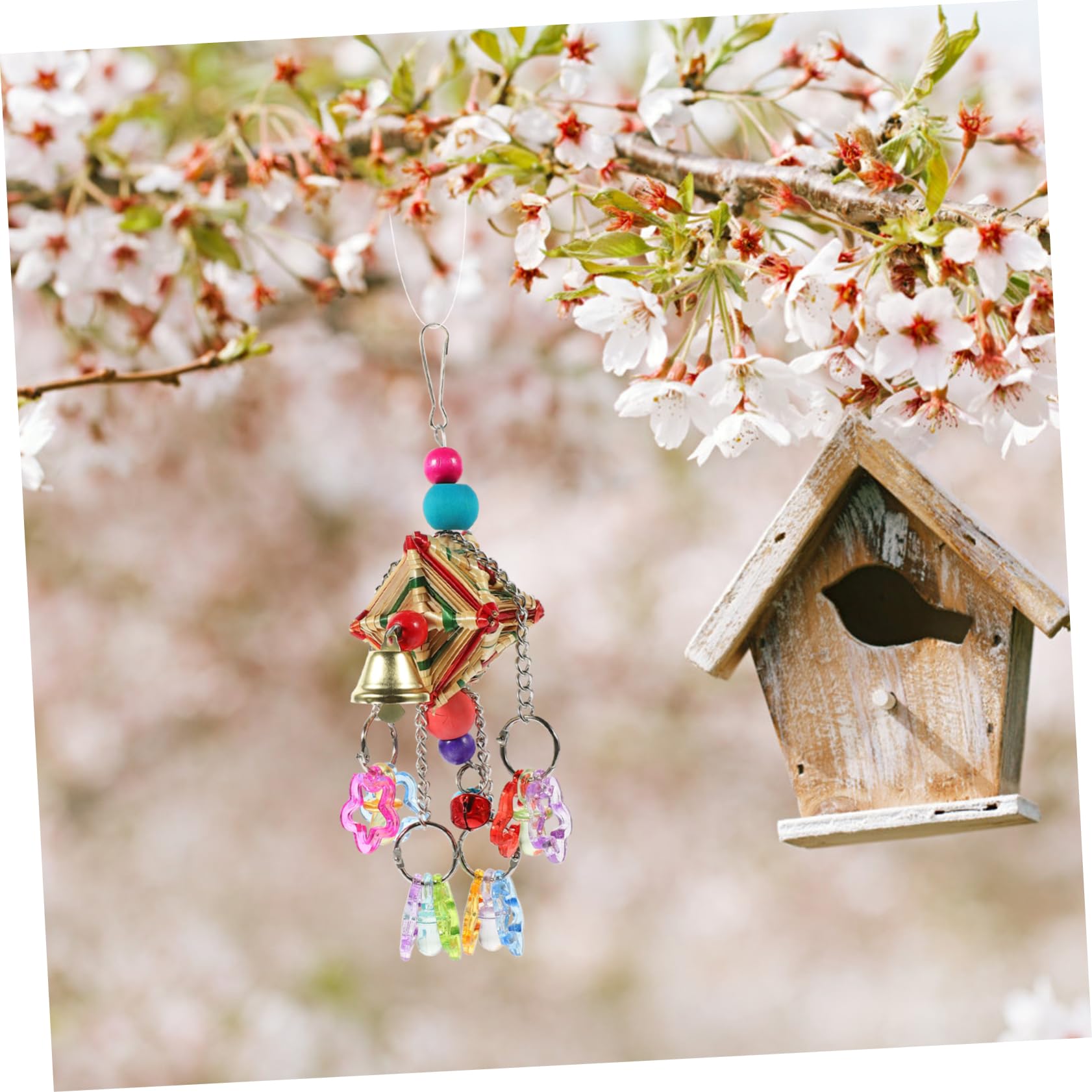 BESPORTBLE 5pièces Jou Mâcher Suspendu pour Perroquet Acrylique Accessoire Amusant pour Oiseaux De Compagnie Jou Grignoter Escalader pour Oiseaux