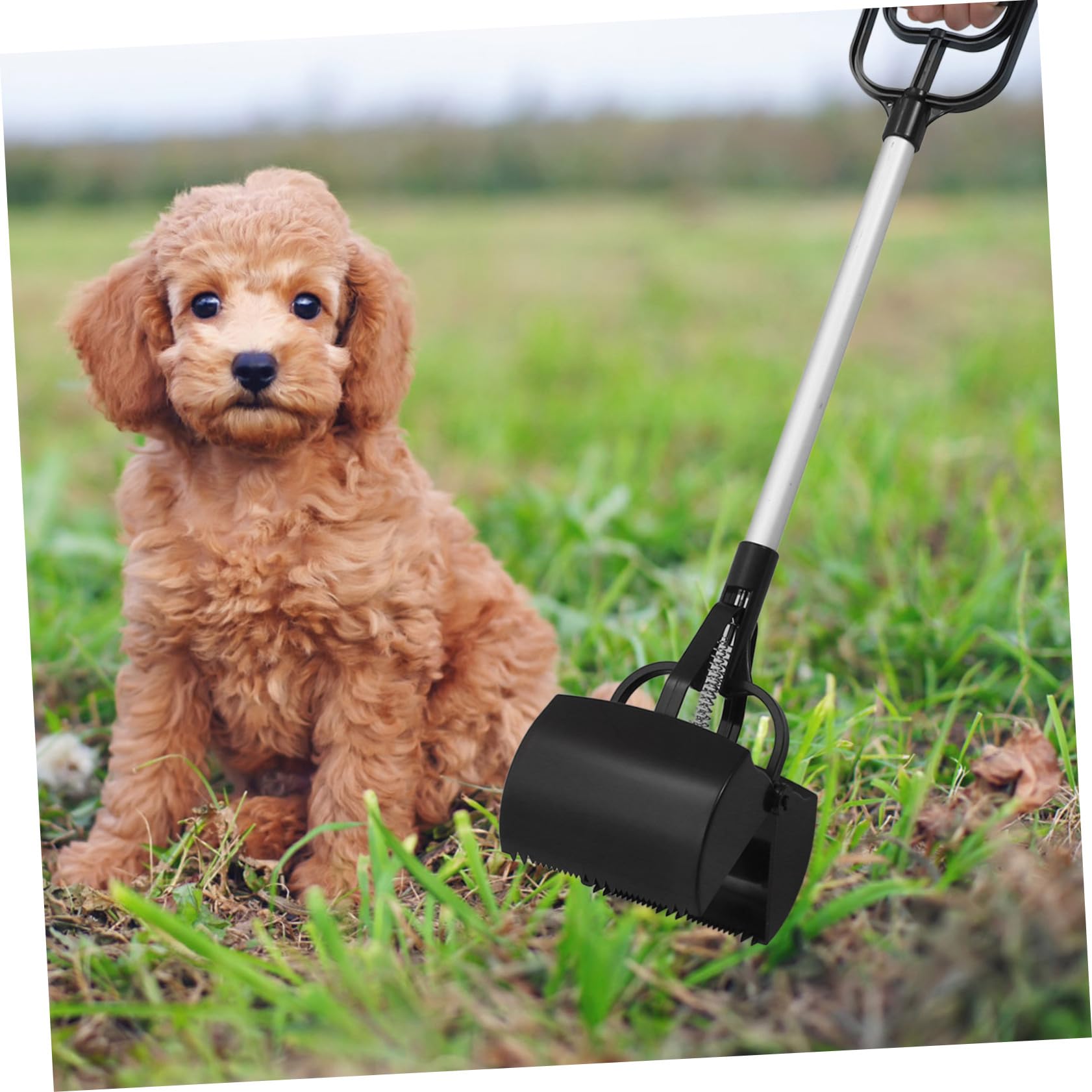 VANZACK Ramasse-crottes Portable pour Animaux de Compagnie en Plastique Poignée Longue, Facile à Transporter, pour Ramassage des Déchets d'animaux en Extérieur Couleur Aléatoire