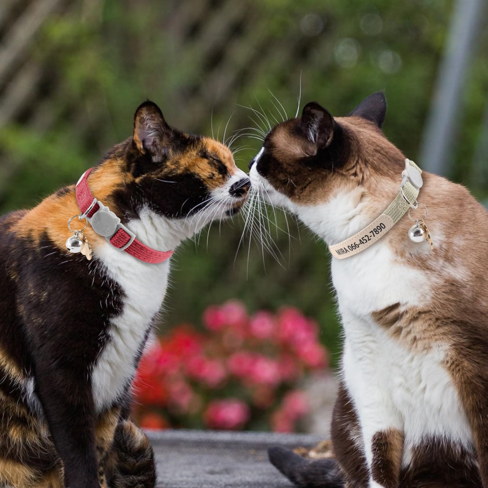 Collare per gatti personalizzato con stampa UV nome e numero di telefono – Collare regolabile per animali domestici con campana