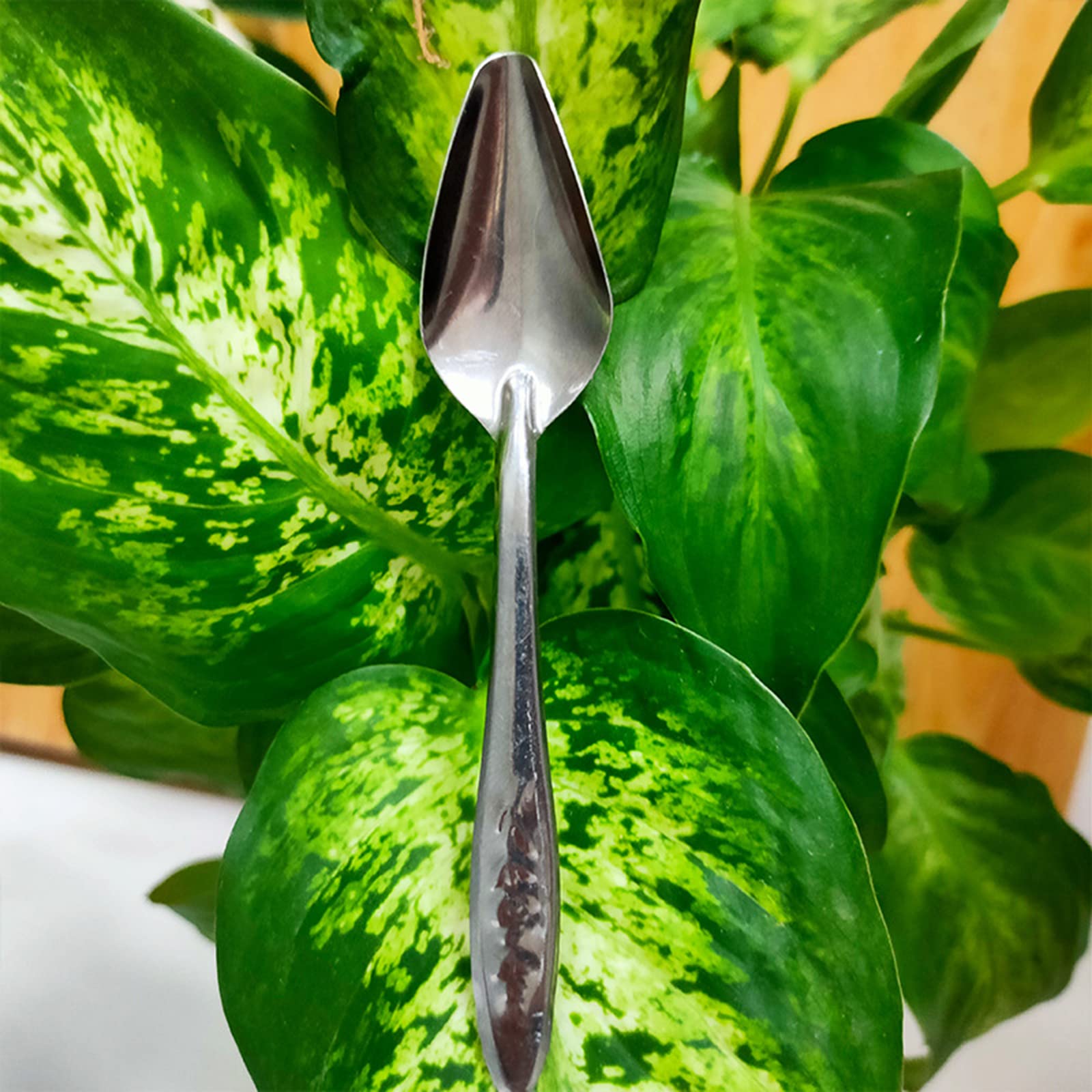 Cucchiaio di alimentazione in metallo per pappagalli Cucchiaio in acciaio inossidabile Cucchiaio per alimentazione a mano per acqua latte Cucchiai per peonia Cockatiel Piccolo uccello