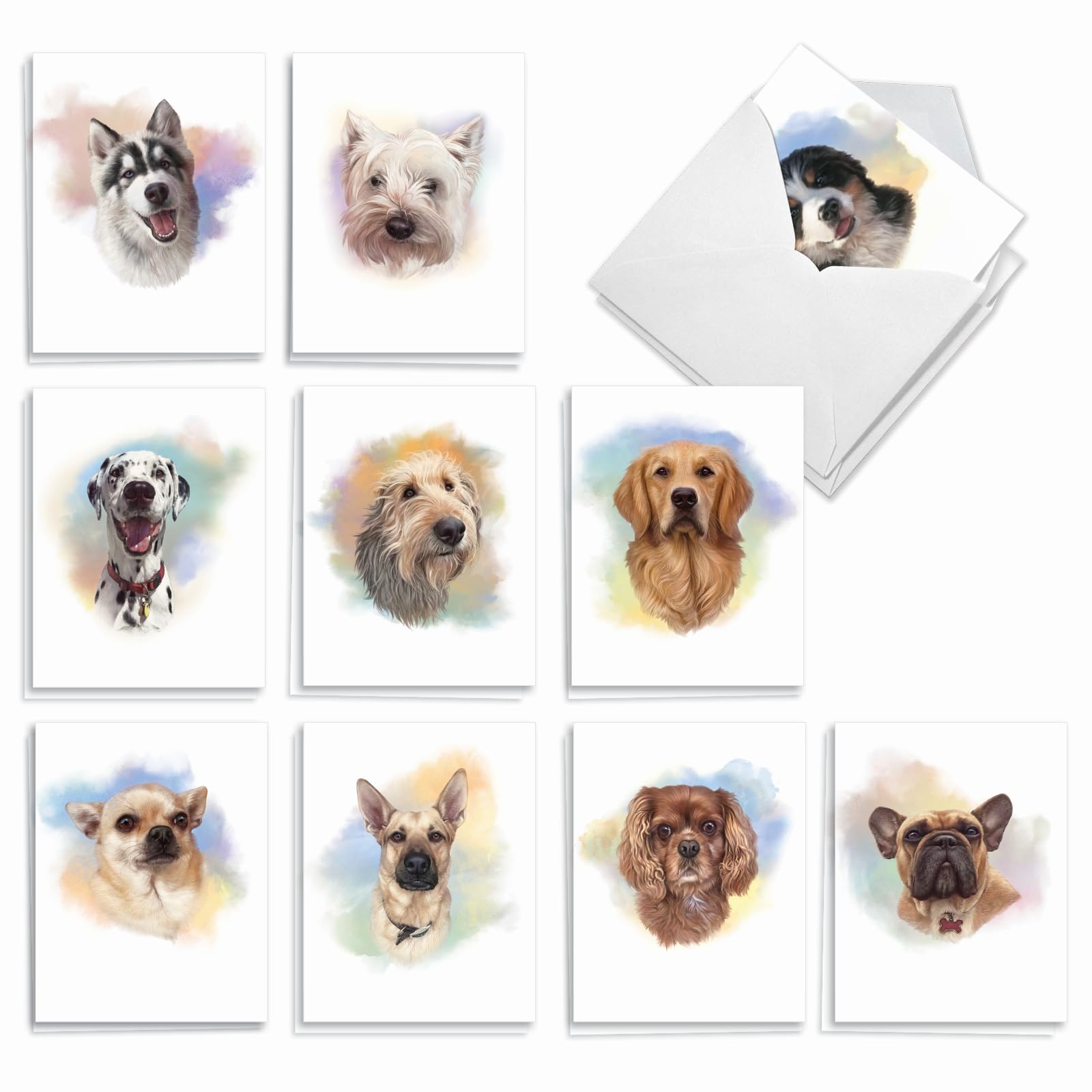 Best Card Co 20 Mini Boxed Note Cards Handsome Dogs AM3497OCB-B2x10