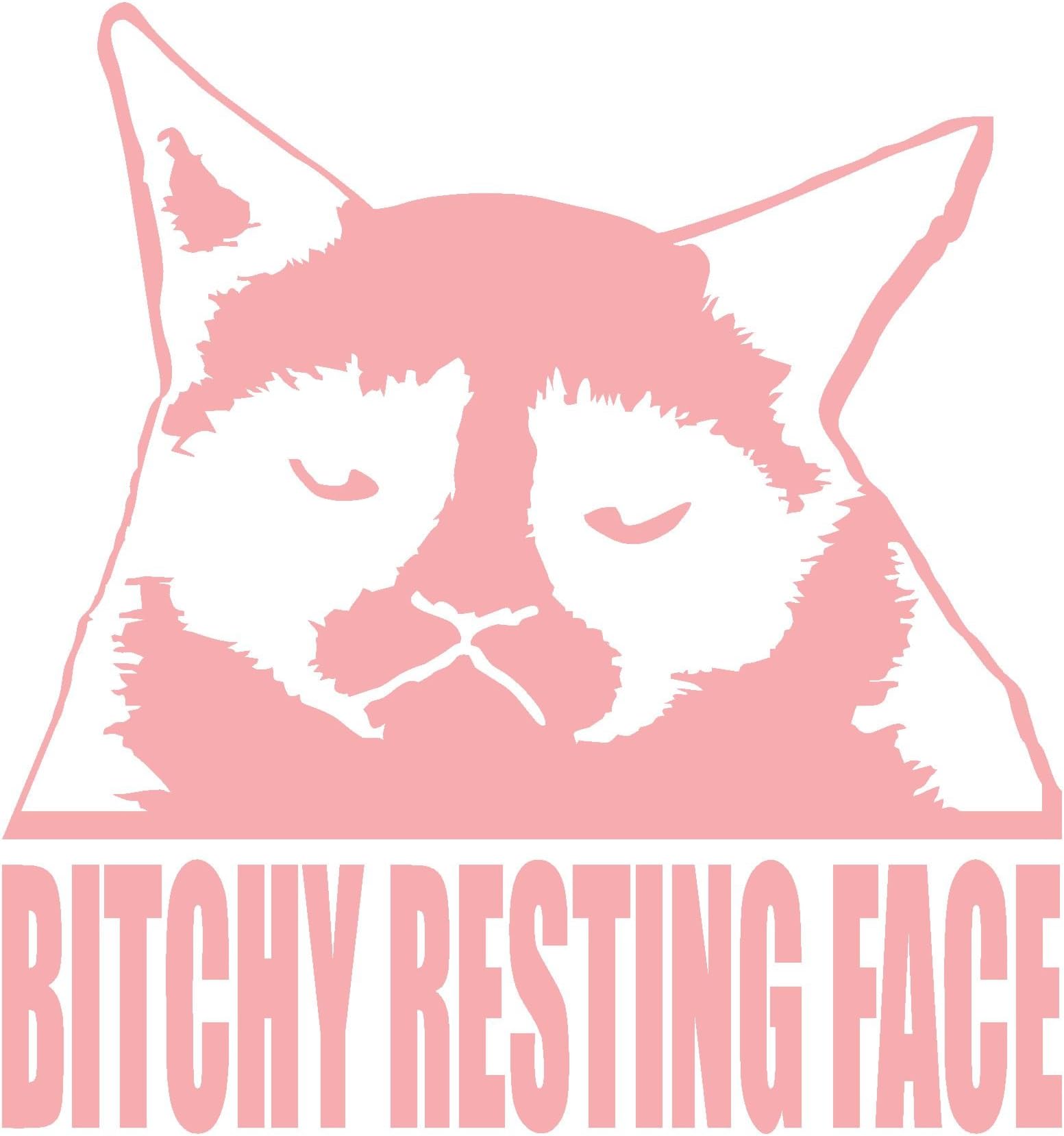 Cat - Bitchy Resting Face- Funny - PINK Die Cut (NOT PRINTED) Decal